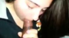 College girl is sucking his black ccok